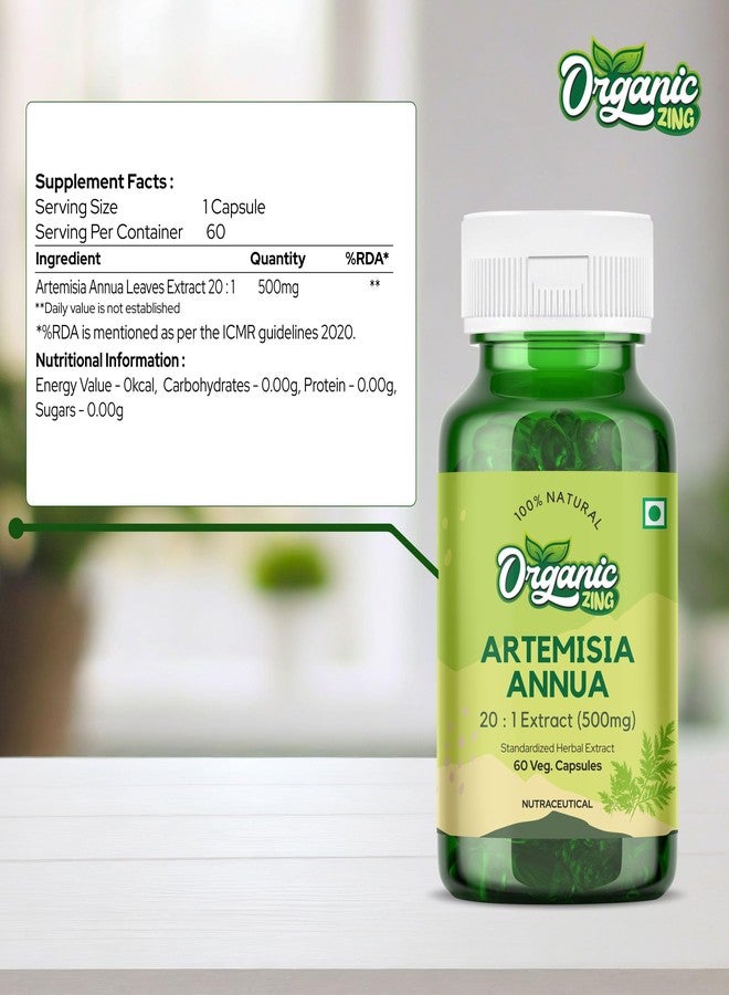 ORGANIC ZING كبسولات أرتيميسينين العضوية من أورجانيك زينج - 60 كبسولة، 500 ملغ - مستخلص نباتي وخالٍ من الغلوتين لدعم المناعة والصحة العامة من أرتيميسيا أنوال - Image 4